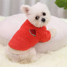 Load image into Gallery viewer, Plush Tea Cup Puppy Sweatshirt
