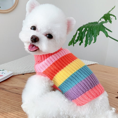 Fashion Rainbow Sweater New Knit Cotton