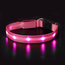 Load image into Gallery viewer, Light Up Waterproof Dog Collar - shoplipari
