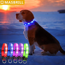 Load image into Gallery viewer, Light Up Waterproof Dog Collar - shoplipari
