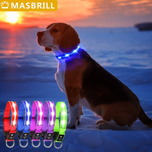 Light Up Waterproof Dog Collar - shoplipari