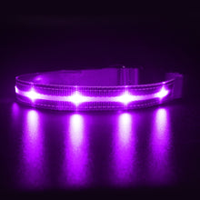 Load image into Gallery viewer, Light Up Waterproof Dog Collar - shoplipari
