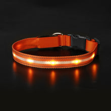 Load image into Gallery viewer, Light Up Waterproof Dog Collar - shoplipari
