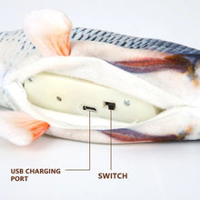 Load image into Gallery viewer, Cat Toy Fish USB Electric Charging Simulation Fish
