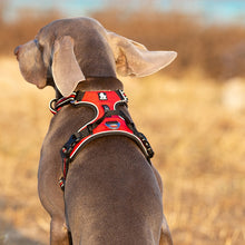 Load image into Gallery viewer, Pet Reflective Nylon Dog Harness
