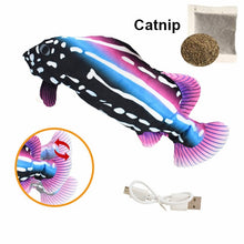 Load image into Gallery viewer, Cat Toy Fish USB Electric Charging Simulation Fish
