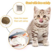 Load image into Gallery viewer, Cat Toy Fish USB Electric Charging Simulation Fish
