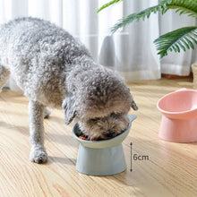 Load image into Gallery viewer, Cat Bowl High Foot Dog Bowl 45°Neck Protector
