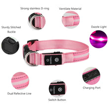 Load image into Gallery viewer, Light Up Waterproof Dog Collar - shoplipari
