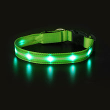 Load image into Gallery viewer, Light Up Waterproof Dog Collar - shoplipari
