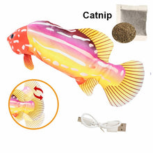 Load image into Gallery viewer, Cat Toy Fish USB Electric Charging Simulation Fish
