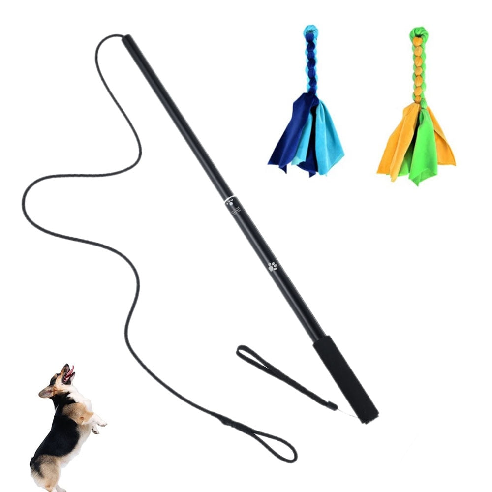 Extendable Pet Lure Stick - shoplipari