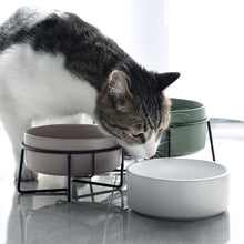 Load image into Gallery viewer, Double Food Water Bowls with Stand
