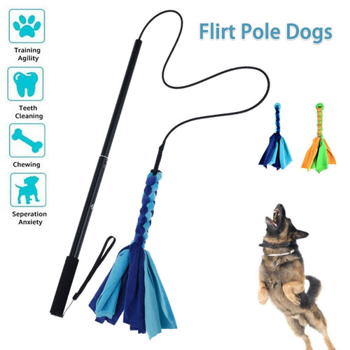 Extendable Pet Lure Stick - shoplipari