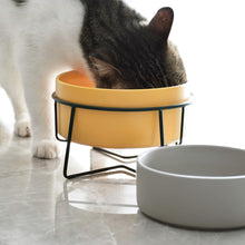 Load image into Gallery viewer, Double Food Water Bowls with Stand
