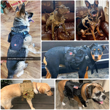 Load image into Gallery viewer, Tactical Dog Harness Vest And Leash Set - shoplipari
