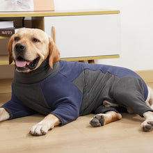 Load image into Gallery viewer, Benepaw Warm Fleece Dog Jacket Turtleneck
